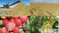 افزایش بهره‌وری و توسعه کشاورزی با مشارکت بخش خصوصی امکان پذیر است