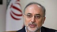 مذاکرات صالحی با رییس روس اتم