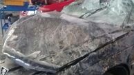 تصادف برادر عضو شورای شهر تهران با ماشین بیت المال در شمال+پاسخ شورا