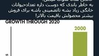 توئیتر::آیا سلبریتی‌ها با واردکنندگان غذای دام ارتباط دارند؟