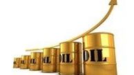 قیمت جهانی نفت افزایش یافت
