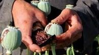 کشف تریاک از معده ۳ نفر در ملایر