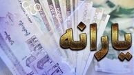 دولت مراقبت کند که بازبینی‌ ها منجر به حذف افراد یارانه‌بگیر نشود