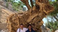 پوریا پورسرخ و کوروش سلیمانی در زیر درختی کهنسال + عکس