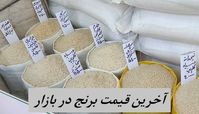 قیمت برنج کیلویی ۱۵۸ هزار تومان شد
