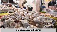 افزایش ۵۰ درصدی قیمت مرغ !