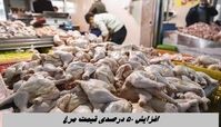افزایش ۵۰ درصدی قیمت مرغ !
