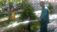 نگهداشت شهر با ۳۱ هزار کارگر فضای سبز و رفت و روب
