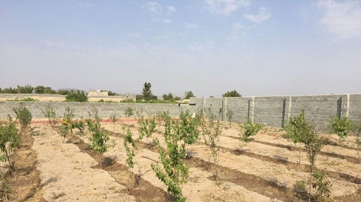 قیمت زمین باغی شهریار