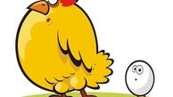 قیمت مصوب مرغ و تخم مرغ اعلام شد
