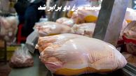 قیمت مرغ دو برابر شد !
