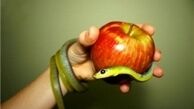 گناهانی که همه چیز انسان را از او می‌گیرند!