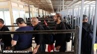 مرز مهران بازگشایی شد | از سرگیری اعزام های زمینی به عتبات