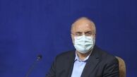 رئیس مجلس: اقدامات ناجا قابل تقدیراست/ پلیس در اجرای مصوبات ستاد کرونا خوش درخشید
