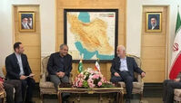 وزیر کشور پاکستان وارد تهران شد