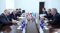 سفیر ایران در تفلیس با وزیر امور خارجه گرجستان دیدار کرد