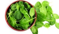 خواص و فواید اسفناج برای زیبایی پوست