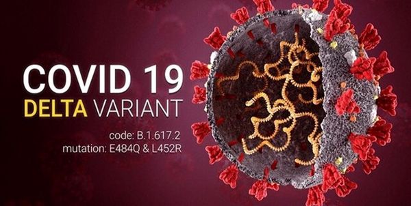 پاسخ به ۹ پرسش اساسی درباره کرونای دلتا