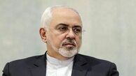 ظریف خواستار ایجاد کانال بانکی برای تسهیل مراودات تجاری بین ایران و برزیل شد