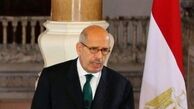 البرادعی مصر را ترک کرد