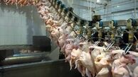 طرح توسعه مرغداری با اعتباری بیش از 5 میلیارد تومان تصویب شد