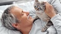 هشدار ! بیماری های مشترک انسان و گربه که خطرناک هستند
