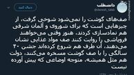 توئیتر:صف‌های گوشت نماد است!