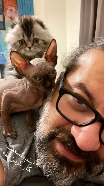 گربه های خاص آقای نویسنده روی شونه اش + عکس