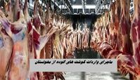 ماجرای جنجالی واردات گوشت‌ های آلوده از مغولستان !