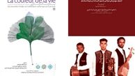 استادان زبان فارسی از 12 کشور جهان در  دوره دانش افزایی بنیاد سعدی