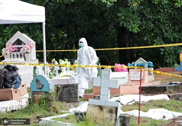 تصویری دلخراش از نبش قبر دسته جمعی