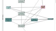 ارتباط نهادهای حقوق‌بشری «عفو بین‌الملل» و «دیده‌بان حقوق‌بشر» با دستگاه سیاست‌خارجی آمریکا و ناتو