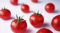  چرا گوجه گران شد ؟