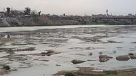 فراخوان تحریم کالاهای ترکیه در عراق