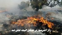 راز آتش‌سوزی جنگل الیت فاش شد ؛ چرا الیت خاموش نمی‌شود ؟