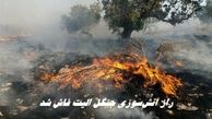 راز آتش‌سوزی جنگل الیت فاش شد ؛ چرا الیت خاموش نمی‌شود ؟
