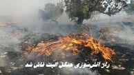 راز آتش‌سوزی جنگل الیت فاش شد ؛ چرا الیت خاموش نمی‌شود ؟