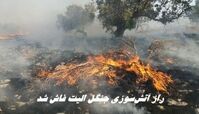 راز آتش‌سوزی جنگل الیت فاش شد ؛ چرا الیت خاموش نمی‌شود ؟