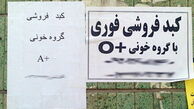 " کبدفروشی" ، دوئل مرگ و آبرو…