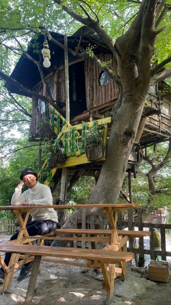 خانه درختی زیبای شبنم فرشادجو + عکس