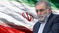 پاسخ ترور شهید فخری زاده باید در عمق خاک دشمن باشد