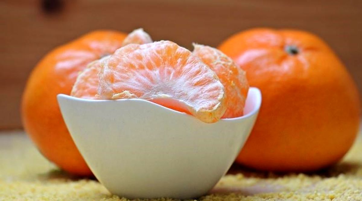افراد مسن این مواد خوراکی را فراموش نکنند