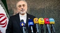 صالحی: برجام معیوب شده را نمی‌پذیریم