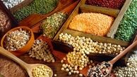 توسعه کشت پاییزه خودکفایی محصولات را رقم زد