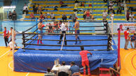 بوکسور ایران در نخستین مبارزه به پیروزی رسید