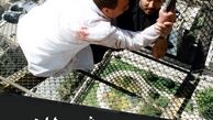 ابوالفضل پورعرب در رقص شیطان
