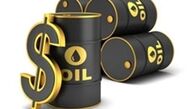 افزایش قیمت طلای سیاه در بازار 