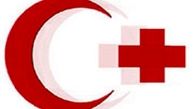 رئیس فدراسیون صلیب سرخ به تهران می آید 