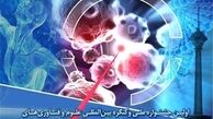  جشنواره ملی علوم و فناوریهای سلولهای بنیادی برگزار می‌شود 