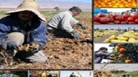 بازار شکر آرام می گیرد